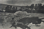 1946Resimler